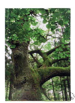 notitieboek gebonden, A5 blanco, 'Lindeboom'
